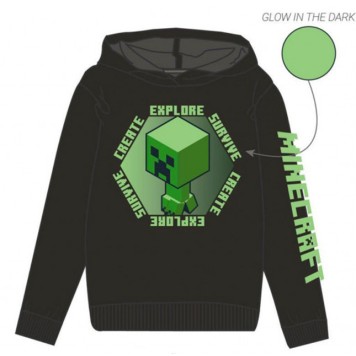 Minecraft kids' sweater 6 years