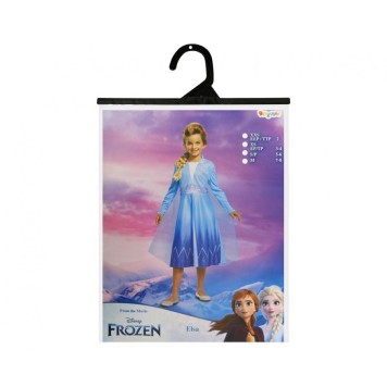 Disney Frozen Elsa costume 2 years