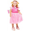 Paw Patrol Skye Costume 3-4 years