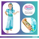 Shimmer and Shine Blue costume 3-4 years