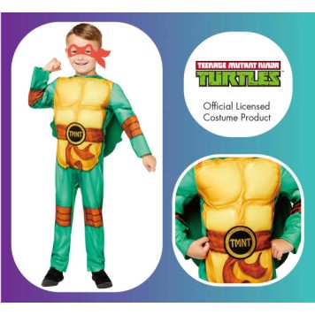 Teenage Mutant Ninja Turtles costume 4-6 years