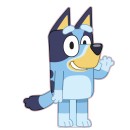 Bluey Wave decorative pillow 35x27 cm