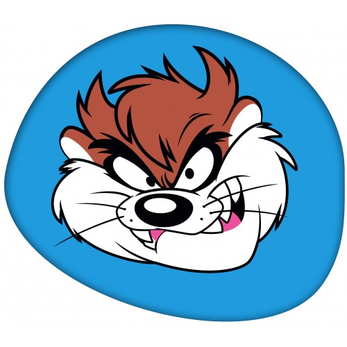 The Looney Tunes shaped decorative pillow 41*33 cm