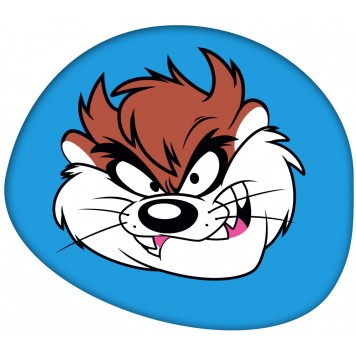 The Looney Tunes shaped decorative pillow 41*33 cm