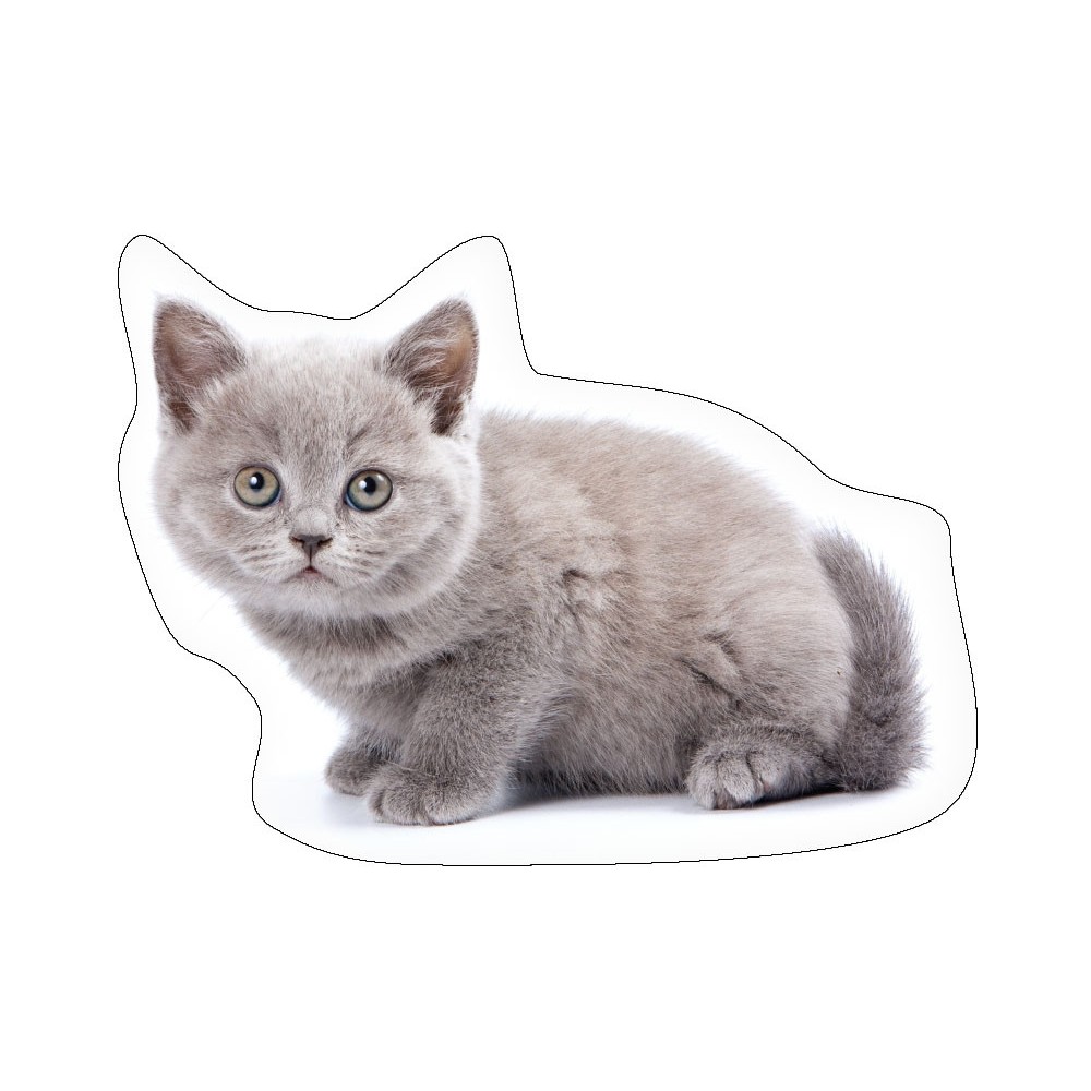 Cat Ash shaped pillow, decorative pillow 40x29 cm