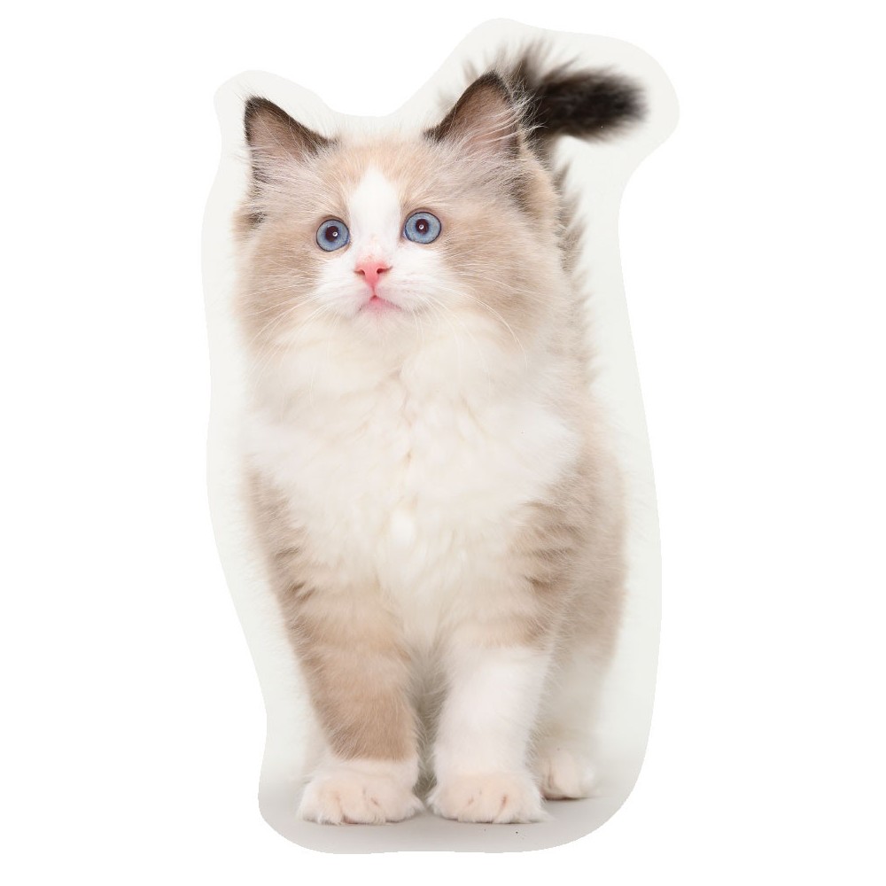 Cat Curious shaped pillow, decorative pillow 40x16 cm