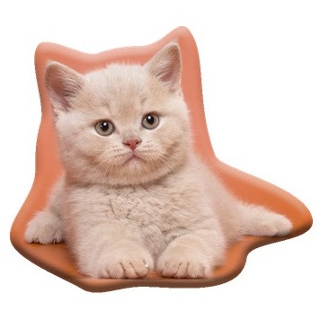 Cat Fluffy decorative pillow 38x33 cm Velour
