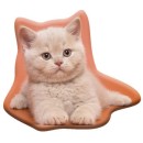 Cat Fluffy decorative pillow 38x33 cm Velour