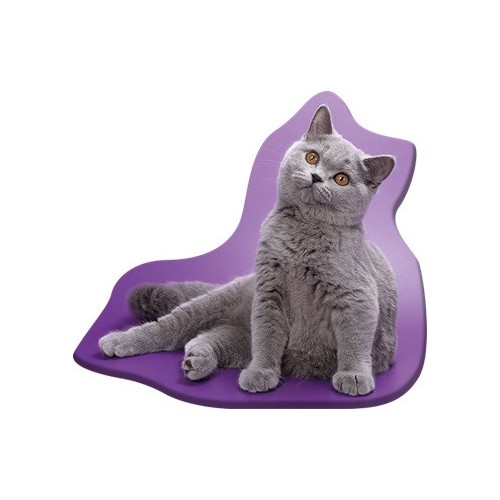 Cat Grey decorative pillow 36x40 cm Velour