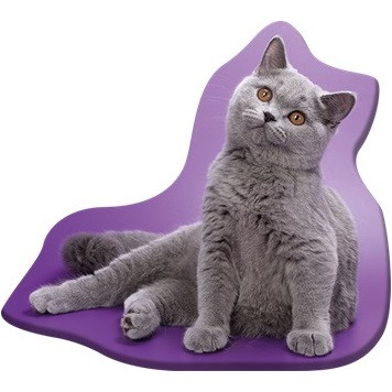 Cat Grey decorative pillow 36x40 cm Velour