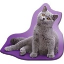 Cat Grey decorative pillow 36x40 cm Velour