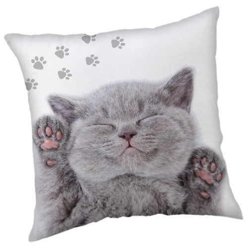 Cat decorative pillow 40x40 cm