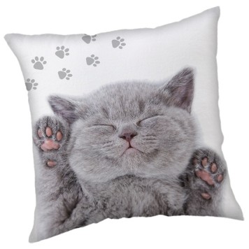 Cat decorative pillow 40x40 cm