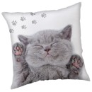 Cat decorative pillow 40x40 cm