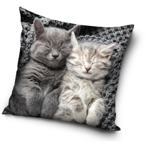 Cat Sleep pillow, decorative pillow 40x40 cm
