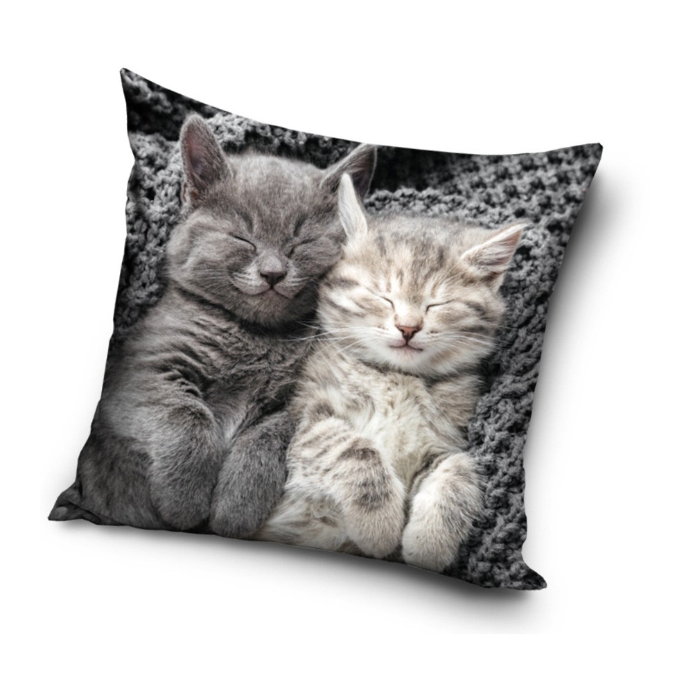 Cat Sleep pillow, decorative pillow 40x40 cm