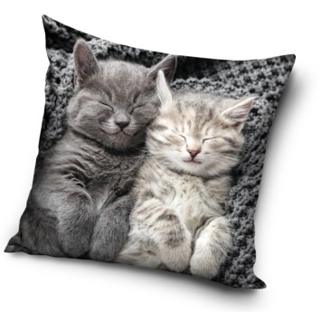 Cat Sleep pillow, decorative pillow 40x40 cm