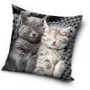 Cat Sleep pillow, decorative pillow 40x40 cm