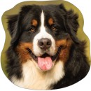 Dog Bernese memory foam cushion, decorative pillow 36x36 cm