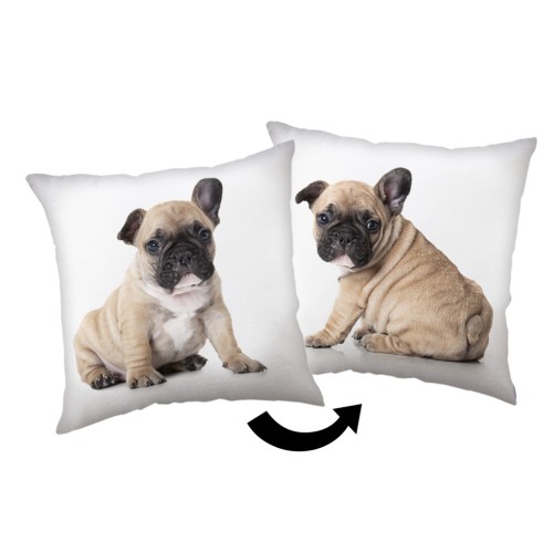 Dog Bulldog decorative pillow 40x40 cm