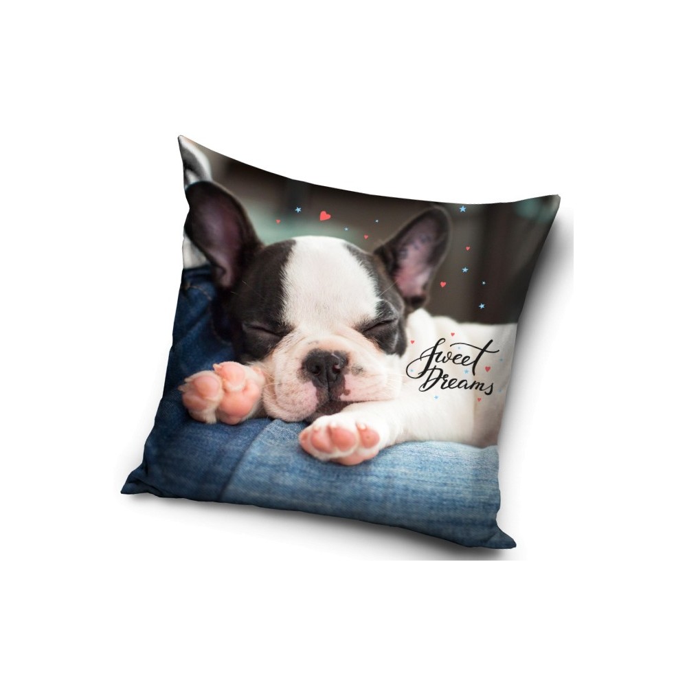 Dog Dreams decorative pillow, 40x40 cm