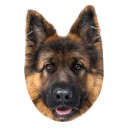 Dog German Shepherd decorative pillow 32x36 cm