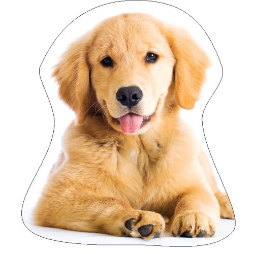 Dog Golden Retriver decorative pillow 35x35 cm