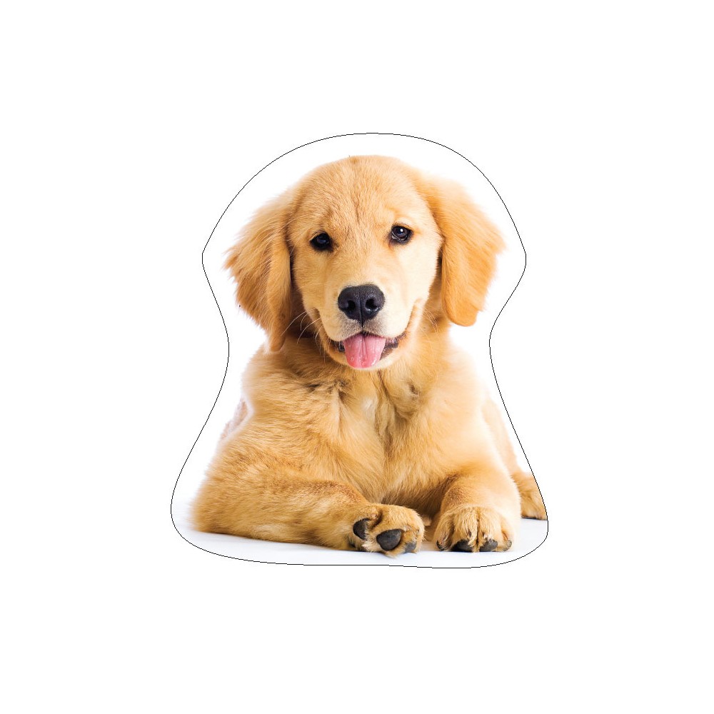 Dog Golden Retriver decorative pillow 35x35 cm