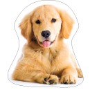 Dog Golden Retriver decorative pillow 35x35 cm