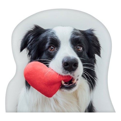 Dog Heart  decorative cushion 31x31 cm