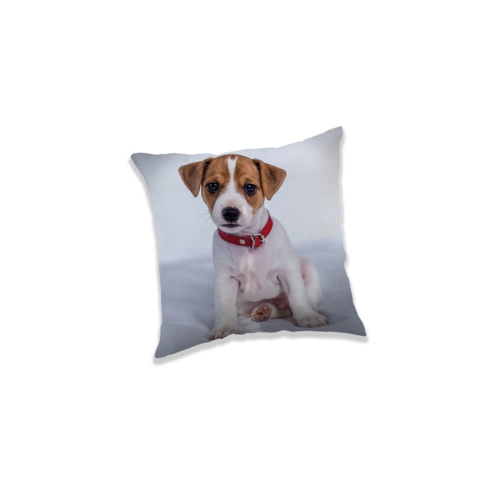 Dog decorative pillow 40*40 cm