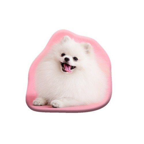 Dog Pomeranian decorative pillow 39x37 cm Velour