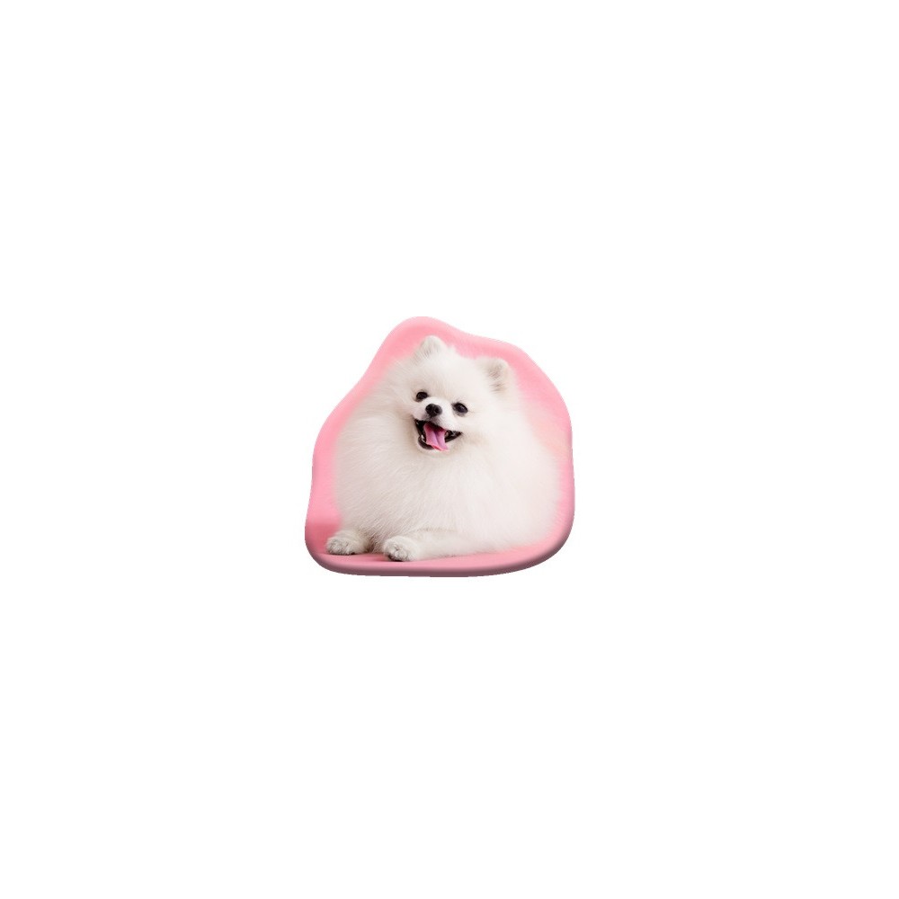 Dog Pomeranian decorative pillow 39x37 cm Velour
