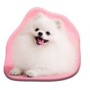 Dog Pomeranian decorative pillow 39x37 cm Velour