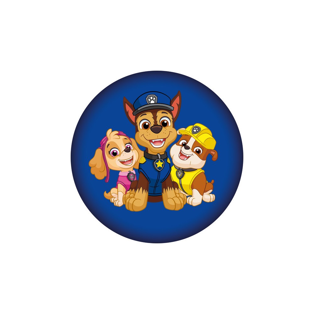 Paw Patrol Squad decorative pillow 37x37 cm
