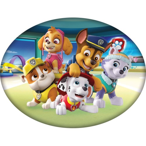 Paw Patrol Team decorative pillow 40x29 cm