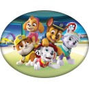 Paw Patrol Team decorative pillow 40x29 cm