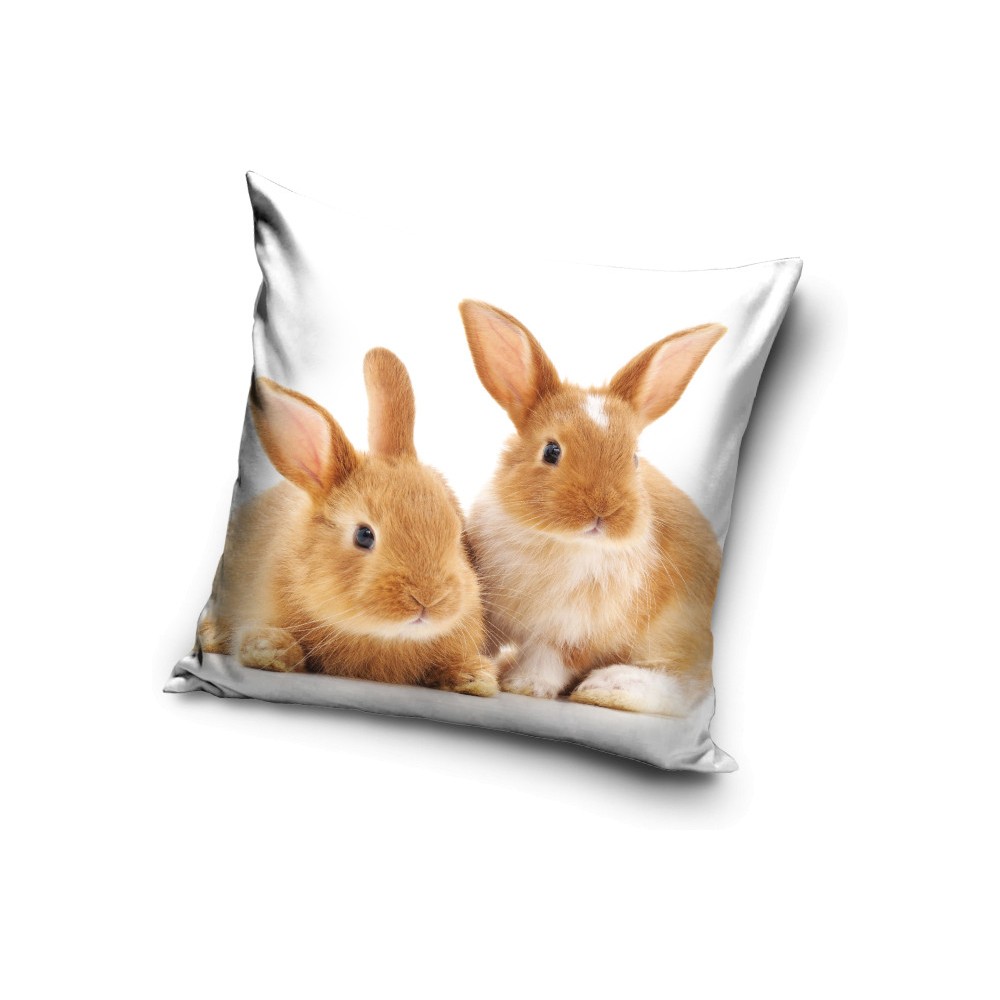 Rabbit pillow, decorative pillow 40*40 cm