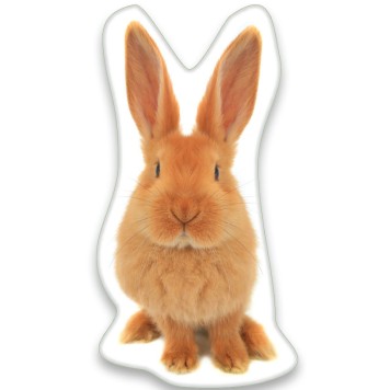 Rabbit S-shaped decorative pillow 22*36 cm