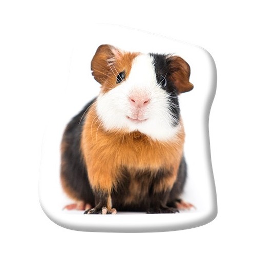 Animals Tricolor Guinea pig-shaped decorative pillow 37x35 cm Velvet