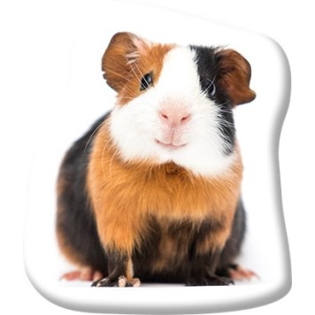 Animals Tricolor Guinea pig-shaped decorative pillow 37x35 cm Velvet