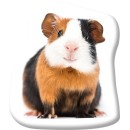 Animals Tricolor Guinea pig-shaped decorative pillow 37x35 cm Velvet