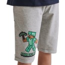 Minecraft children's shorts 10 years