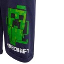 Minecraft children's shorts 9 years