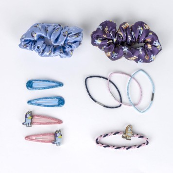 Bluey hair clip, hair tie set