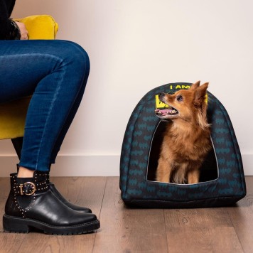 Batman Boom pet bed 38 cm