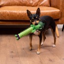 Avengers Hulk dog toy