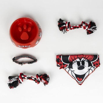 Disney Minnie  Fun pet welcome kit