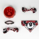 Disney Minnie  Fun pet welcome kit