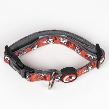 Disney Minnie  Fun pet welcome kit